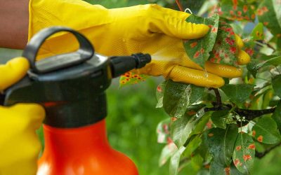 انواع قارچ کش ها