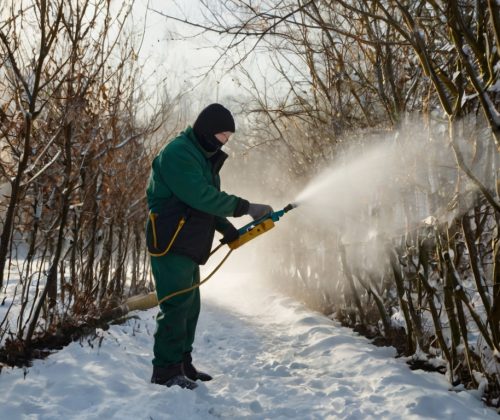سمپاشی-زمستانه-1