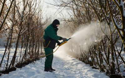 سمپاشی-زمستانه-1